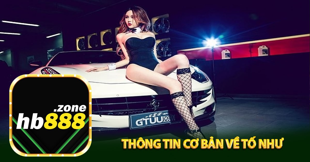 Thông tin cơ bản về Tố Như